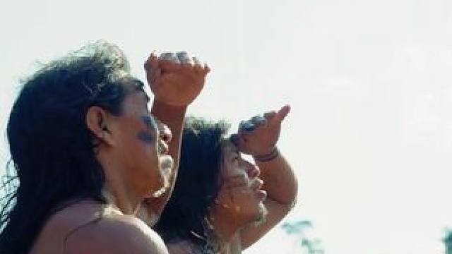 深入比哀牢山更神秘的亚马逊雨林 #荒野求生 #原始技术 #纪录片解说