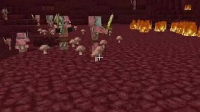 主页有我的世界手机版宝可梦 #我的世界