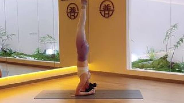 每天早起坚持倒立一分钟
#东莞松山湖 #东莞瑜伽 #东莞普拉提