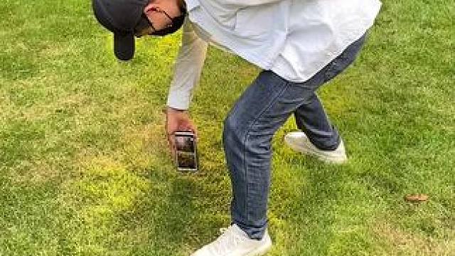 寒露，秋意渐浓，万物凝结成霜。寒露小短片试试这样拍，一招教你拍出稳定器高级感短片.#手机摄影 #拍摄