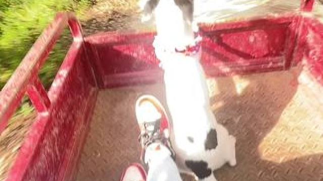 跟着老爸去赶集
这大概就是小时候赶集的样子吧#田间地头 #乡愁记忆  #农村生活