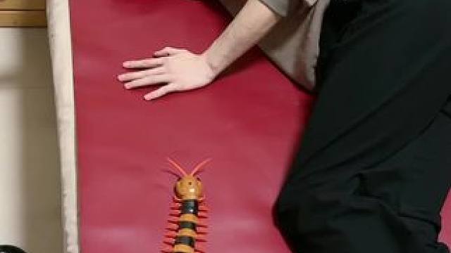 我发布了一个新视频，快来围观吧！