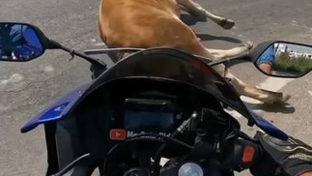 评论区有大神 #操作有风险请勿模仿 #机车