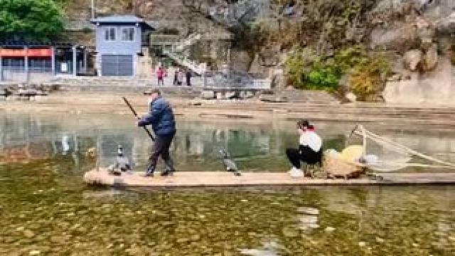 #山青水秀好风光游山逛水看风景 #就想在桂林看山山水水 #游山玩水释放心情 #旅行推荐官