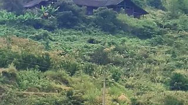 有人说这是穷乡僻壤，也有人说这是诗和远方，但在我眼里，这才是疲惫生活的解药，一个让人轻松自在的地方！