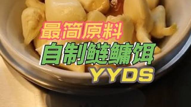 牛逼又廉价，材料还很好找的鲢鳙鱼饵自制，钓一条鲢鳙就能回本的 #鲢鳙饵料 #爆护饵料 #鱼饵制作 #