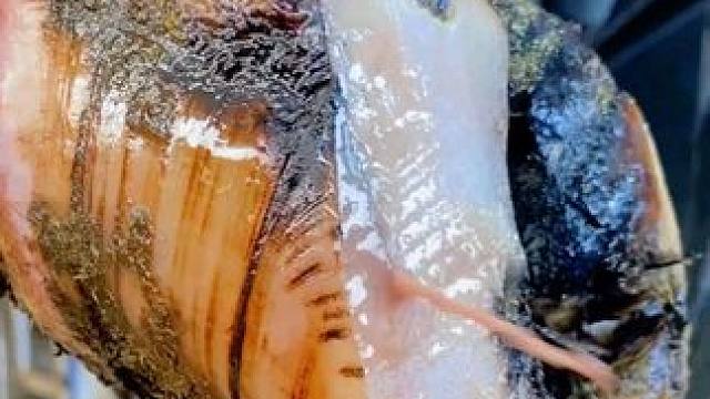 止不住，根本止不住#解压 #助眠 #治愈 #修蹄 #强迫症