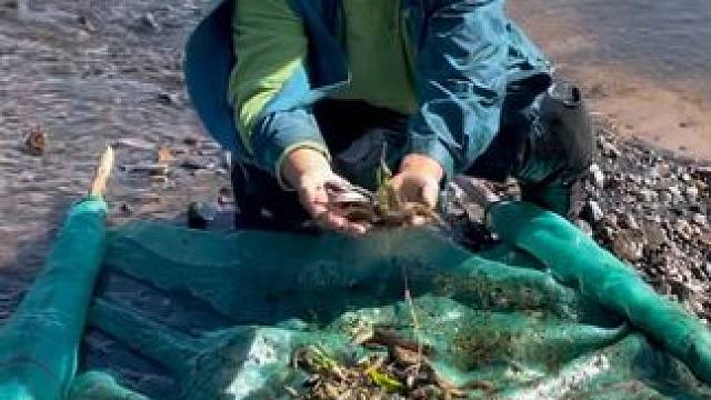 #户外捕鱼 #好多鱼