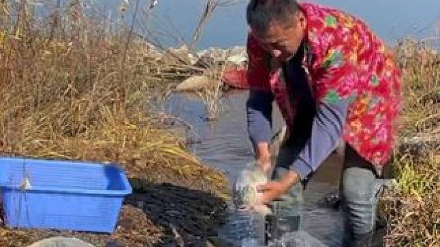 #户外捕鱼 #好大一条鱼