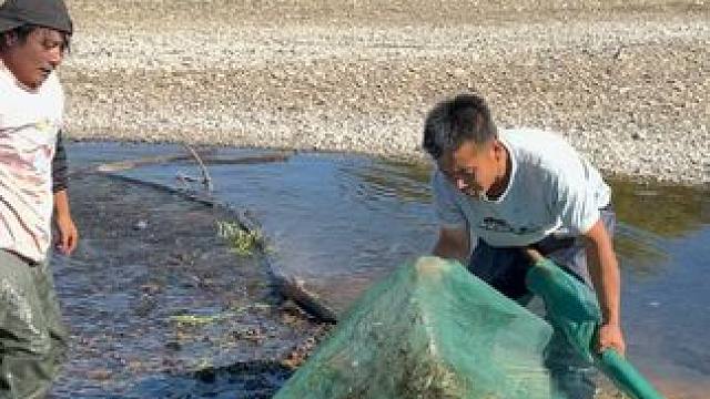 #户外捕鱼 #好多鱼