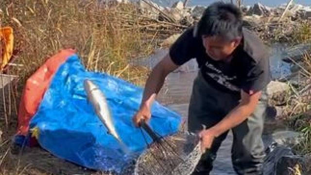 #户外捕鱼 #好大一条鱼