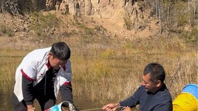 #户外捕鱼 #好多鱼