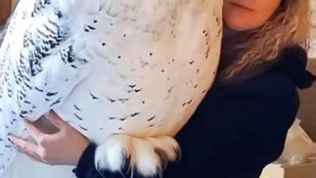 “Ps高手告诉你”——不要相信自己的眼睛#萌到爆炸了  #视觉艺术 #ps#ai#艺术