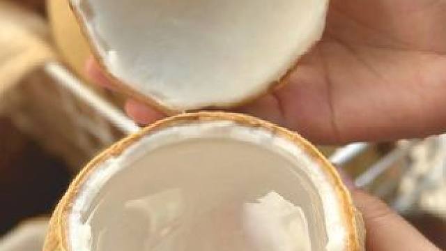 工厂是如何加工椰子水的？#椰子 #椰子水 #电解质水 #饮品推荐