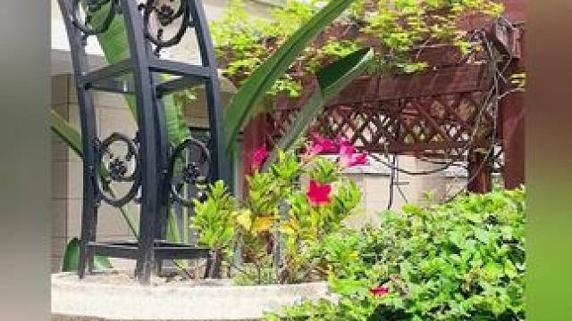 #寒露#记录生活