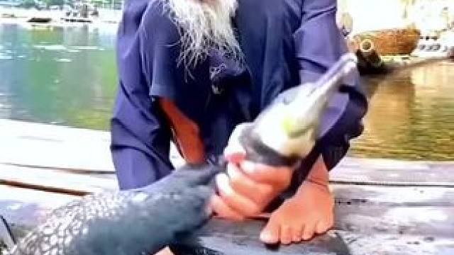 #山青水秀好风光游山逛水看风景 #就想在桂林看山山水水 #旅行推荐官