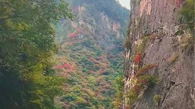 作诗了，作诗了……秦岭的秋天真是太美了，无法用言语形容#旅行推荐官 #陕西周边自驾游 #治愈系风景 