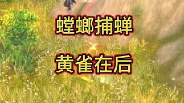 螳螂捕蝉 #魔兽世界勇士集结 #魔兽世界