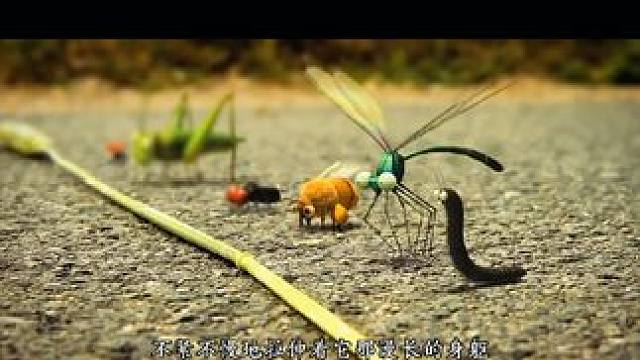 这是一场前所未有的昆虫运动会，汇聚了来自海陆空三栖的各路精英。结局万万没想到 #搞笑 #有趣 #治愈