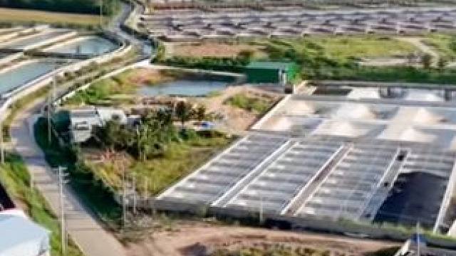 最美东方鳄鱼小镇