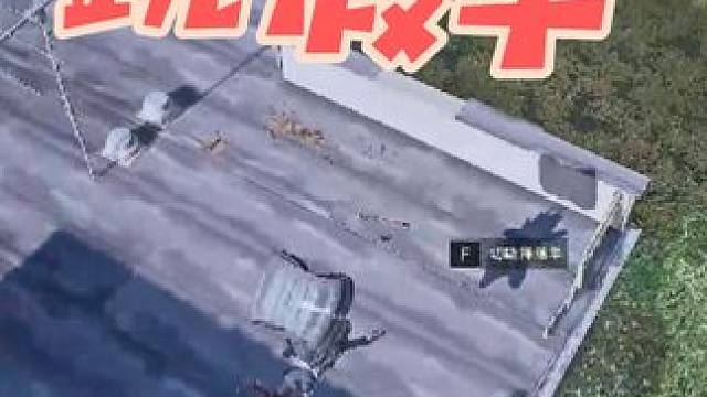 假伞骗人，屡试不爽哈哈哈