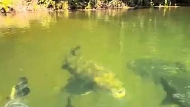 你以为是一支笔，其实是~ #玩个很新的东西  #鱼竿