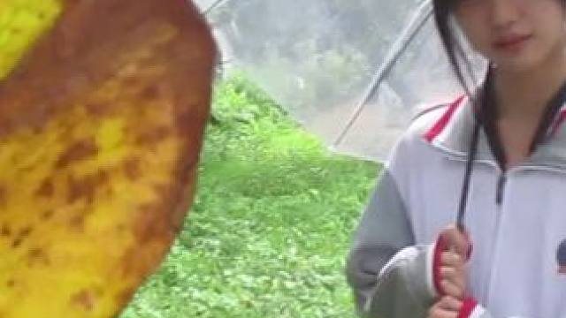 #女高 #校园 #08 以爱之名 你还愿意吗