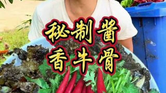 看起来全是骨头  吃起来全是肉  满满的牛骨香味 让你好吃的停不下来#农村美食 #乡村味道 #好吃到