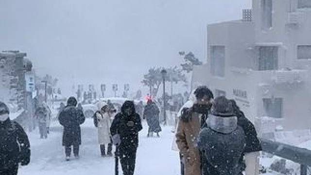 要是今年 能跟你去海边看雪就好了.
#威海 #去年冬天 #看海