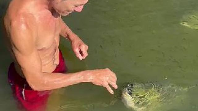 #这鱼哪个钓友看了不羡慕 #钓鱼的乐趣只有钓鱼人懂