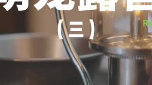 萌宠露营（三）#露营 #助眠 #解压 #萌宠 #极度舒适