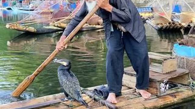 #山青水秀好风光游山逛水看风景 #就想在桂林看山山水水 #旅行推荐官 #游山玩水释放心情