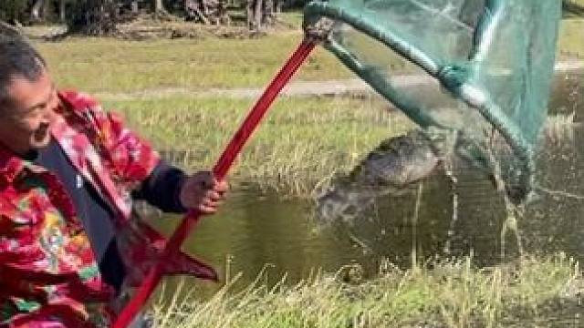 #户外捕鱼 #好大一条鱼