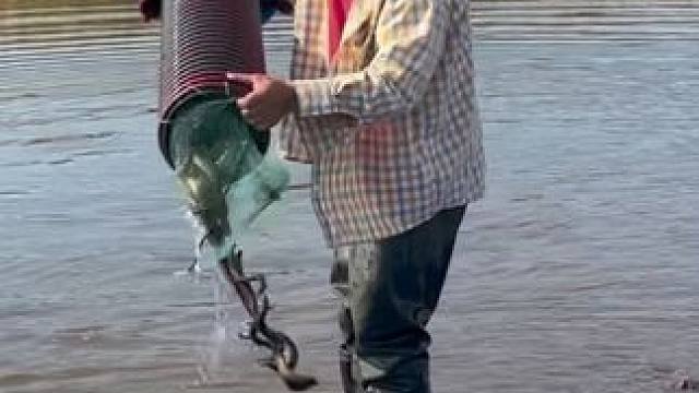 #户外捕鱼 #好多鱼