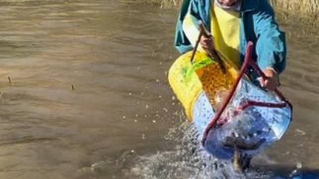 #户外捕鱼 #好大一条鱼