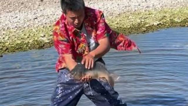 #户外捕鱼 #好大一条鱼