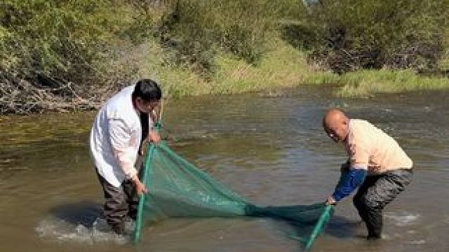 #户外捕鱼 #好多鱼