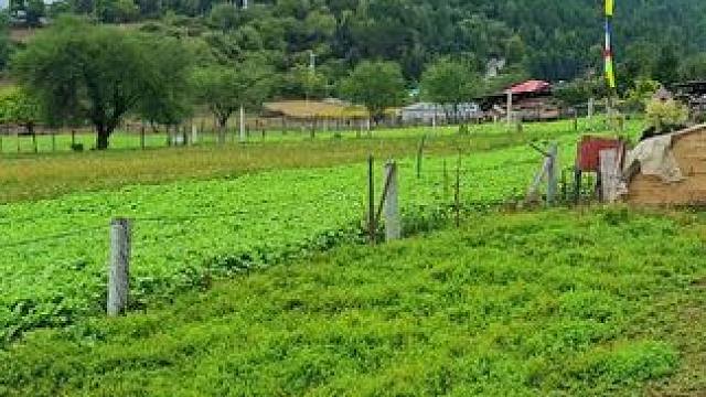 #遇见治愈系生活 #治愈系风景 #住进风景里 #感受大自然的气息和美景 #随手一拍都是美景