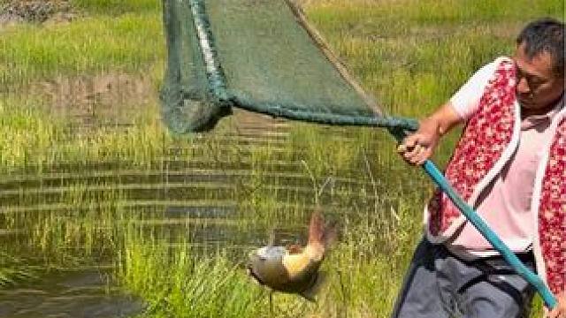 #户外捕鱼 #好大一条鱼