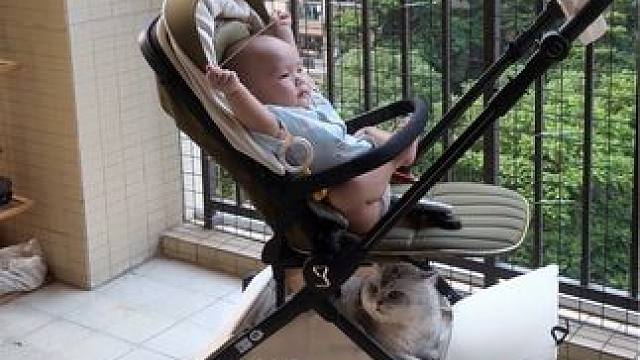 每天对着这两小只，心里就满满的 #随拍 #猫和孩子