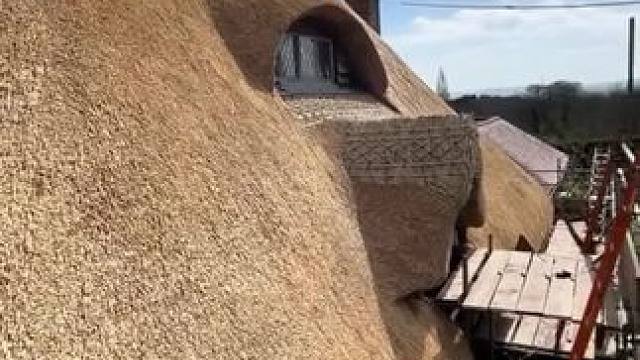 英格兰农村铺设的茅草屋顶！#施工工艺 #能工巧匠 #茅草屋