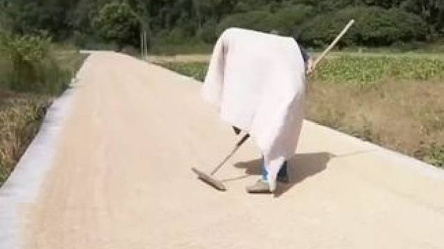 山卡卡里的农村大姐学费了开直播每天收获满满您还在恐播怕播不敢开播开播了不知说什么吗#记录真实生活 #