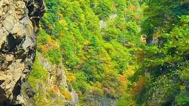 国道108陕西西安周至县段沿途秦岭秋色 #最美的风景在路上 #旅行推荐官 #秦岭