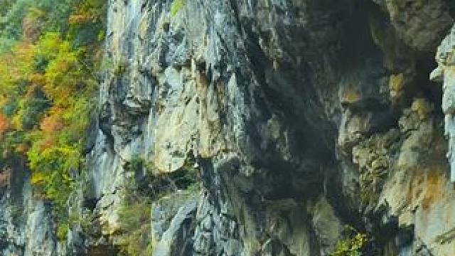 国道209（苏北线）湖北神农架林区段沿途秋色 #最美的风景在路上 #旅行推荐官 #神农架