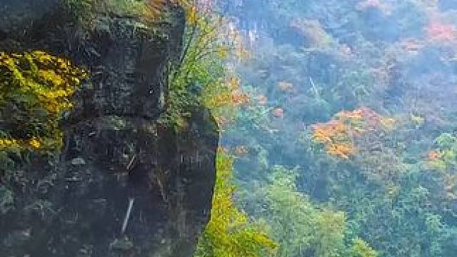 国道209（苏北线）湖北神农架林区段沿途秋色 #最美的风景在路上 #旅行推荐官 #神农架