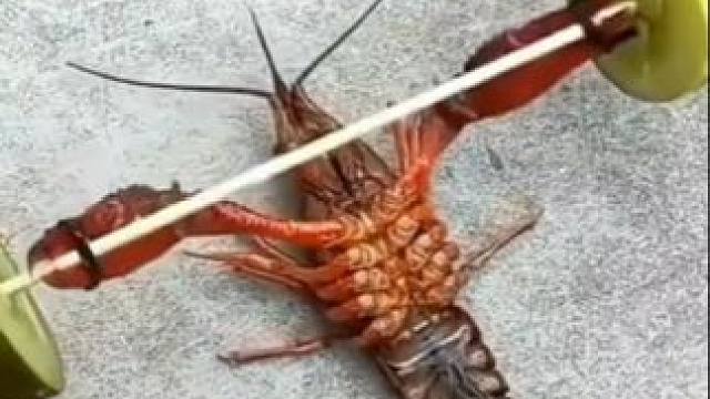 生活小妙招你知道几个 #生活小妙招 #小妙招 #上热门