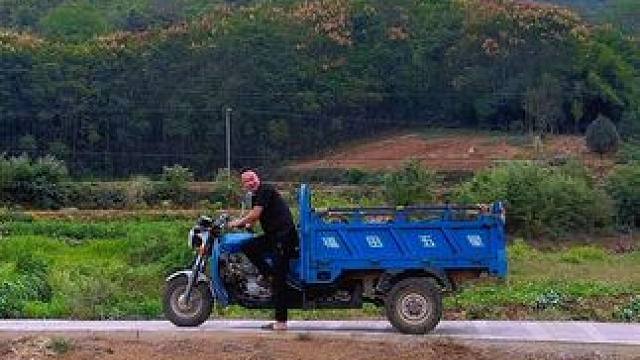 牛排骨焖土鸡，初秋的下酒硬菜，吃完笑哈哈！ #新农人计划2024 #农村美食 #乡