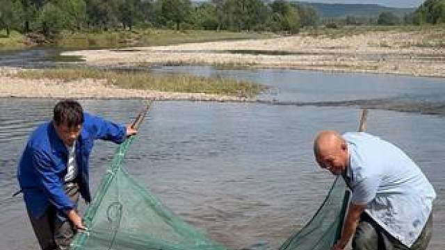 #户外捕鱼 #好多鱼