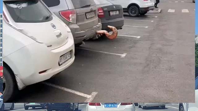 你们说这是拖车钩还是流氓钩 #每天一个用车知识 #拖车钩 #遵守交通规则 #文明出行安全驾驶 #流氓