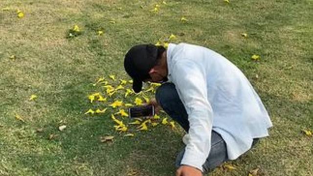 落花试试这样拍#手机摄影 #拍摄技巧 #落花 #治愈系